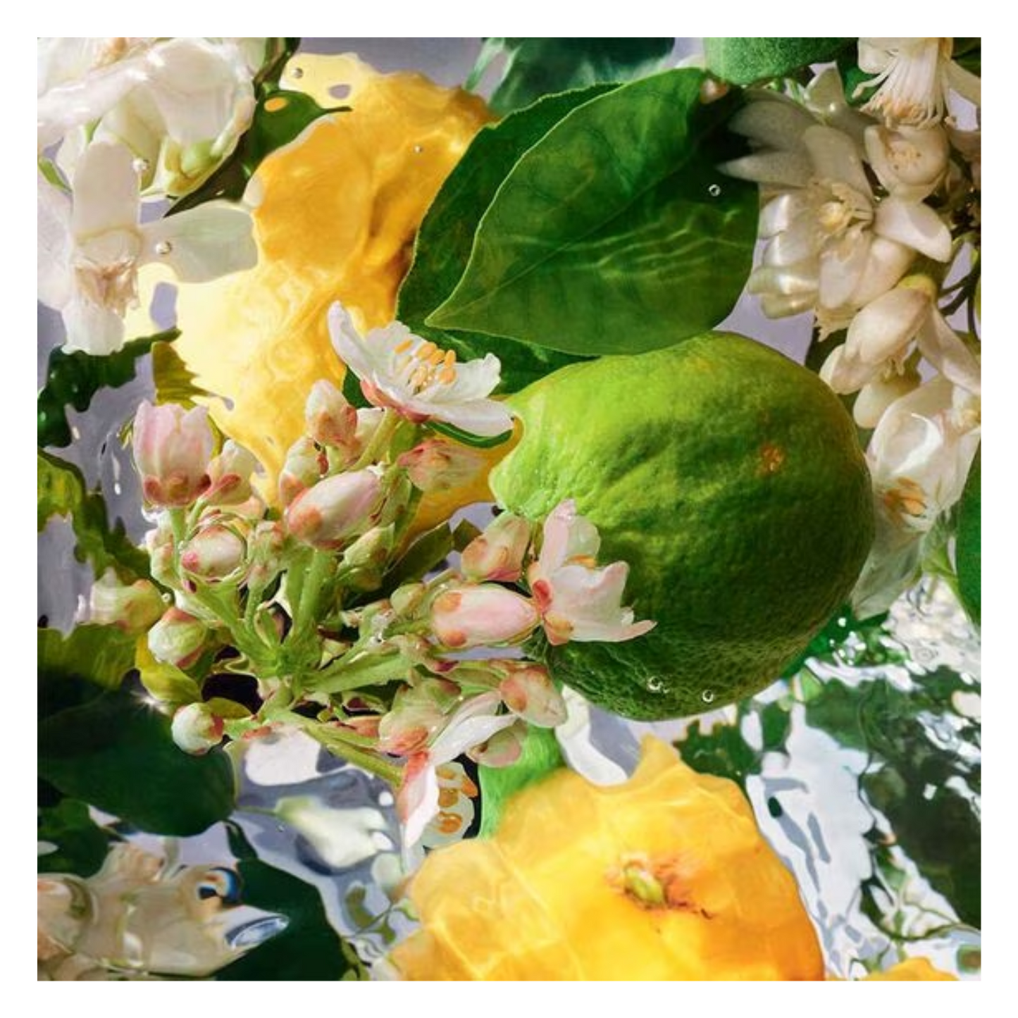 Guerlain Paris Aqua Allegoria Pamplelune Eau de Toilette 125 ml