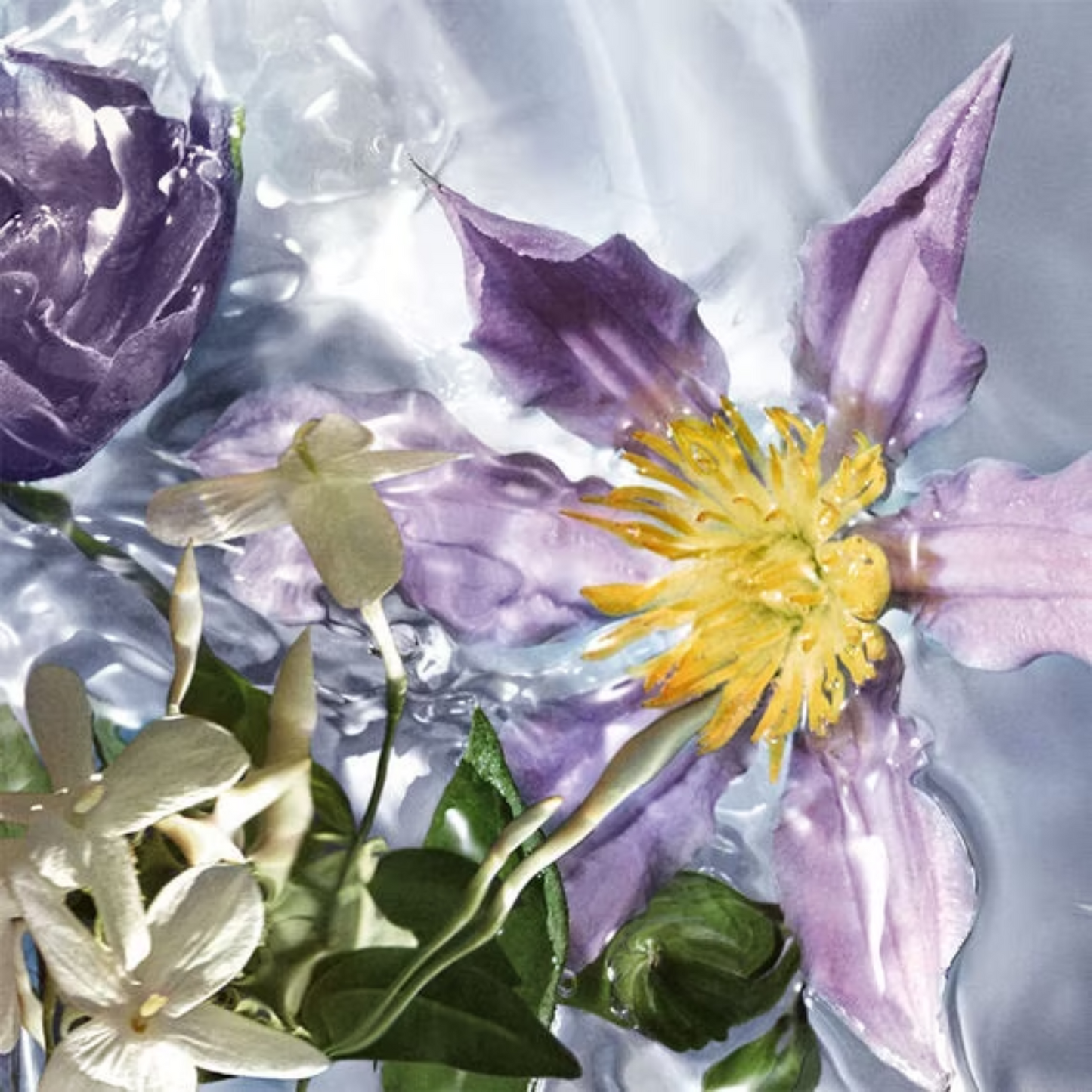 Guerlain Paris Aqua Allegoria Flora Salvaggia Eau de Toilette 125 ml