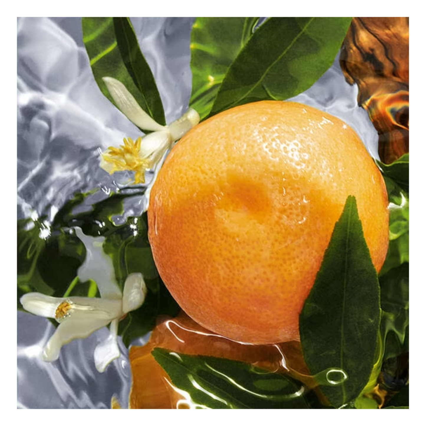 Guerlain Paris Aqua Allegoria Pamplelune Eau de Toilette 125 ml